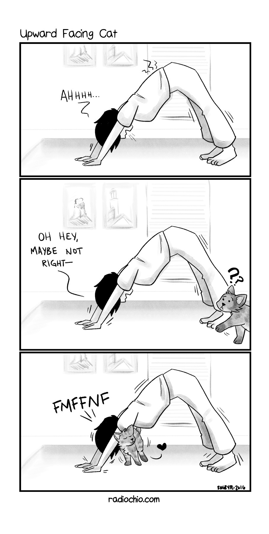 downwardcats-web
