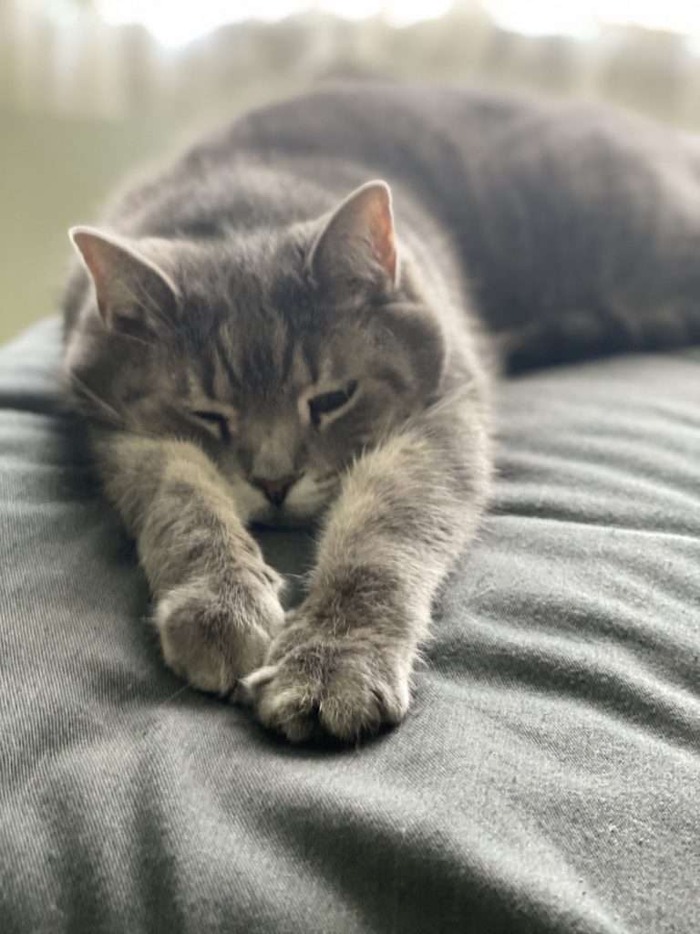 Milo