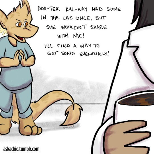 ASK A CHIO: Do chio like coffee?