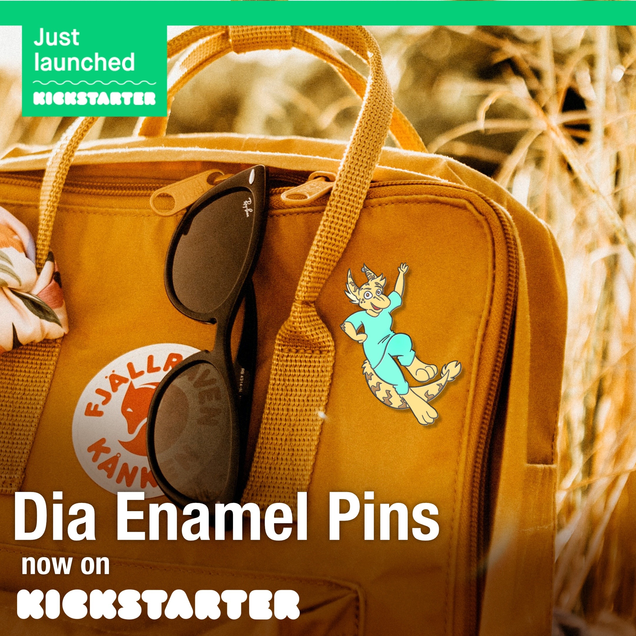 Kickstarting NOW! Dia Enamel Pins!
