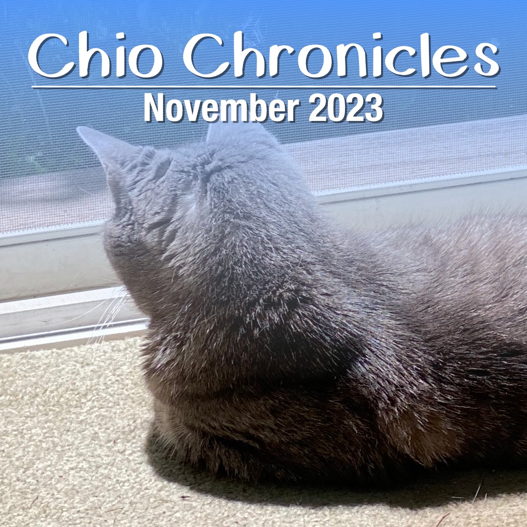 Chio Chronicles – November 2023 Edition