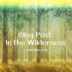A faded photo of a forest, with the text Blog Post: In the Wilderness on top