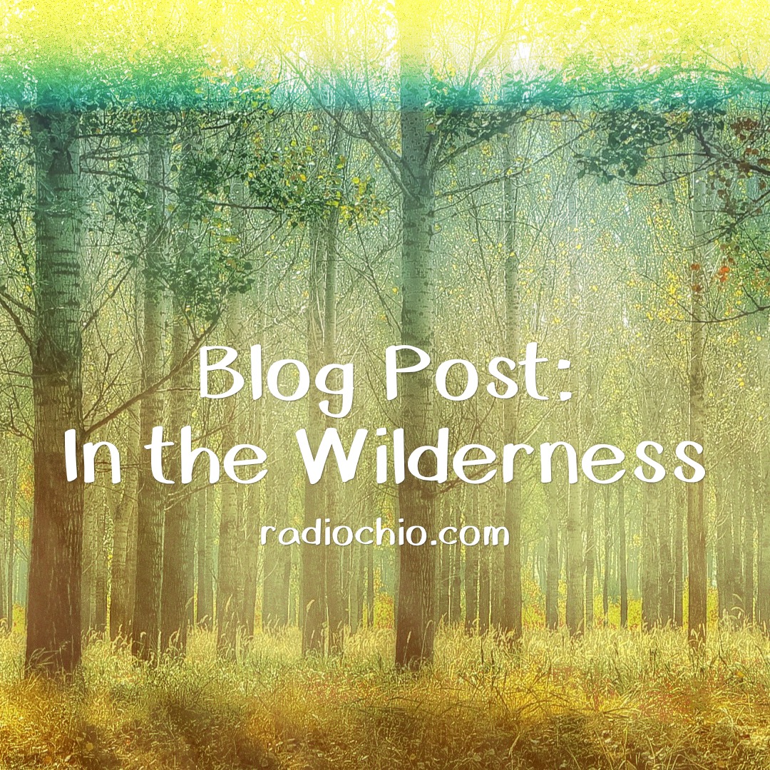 In the Wilderness